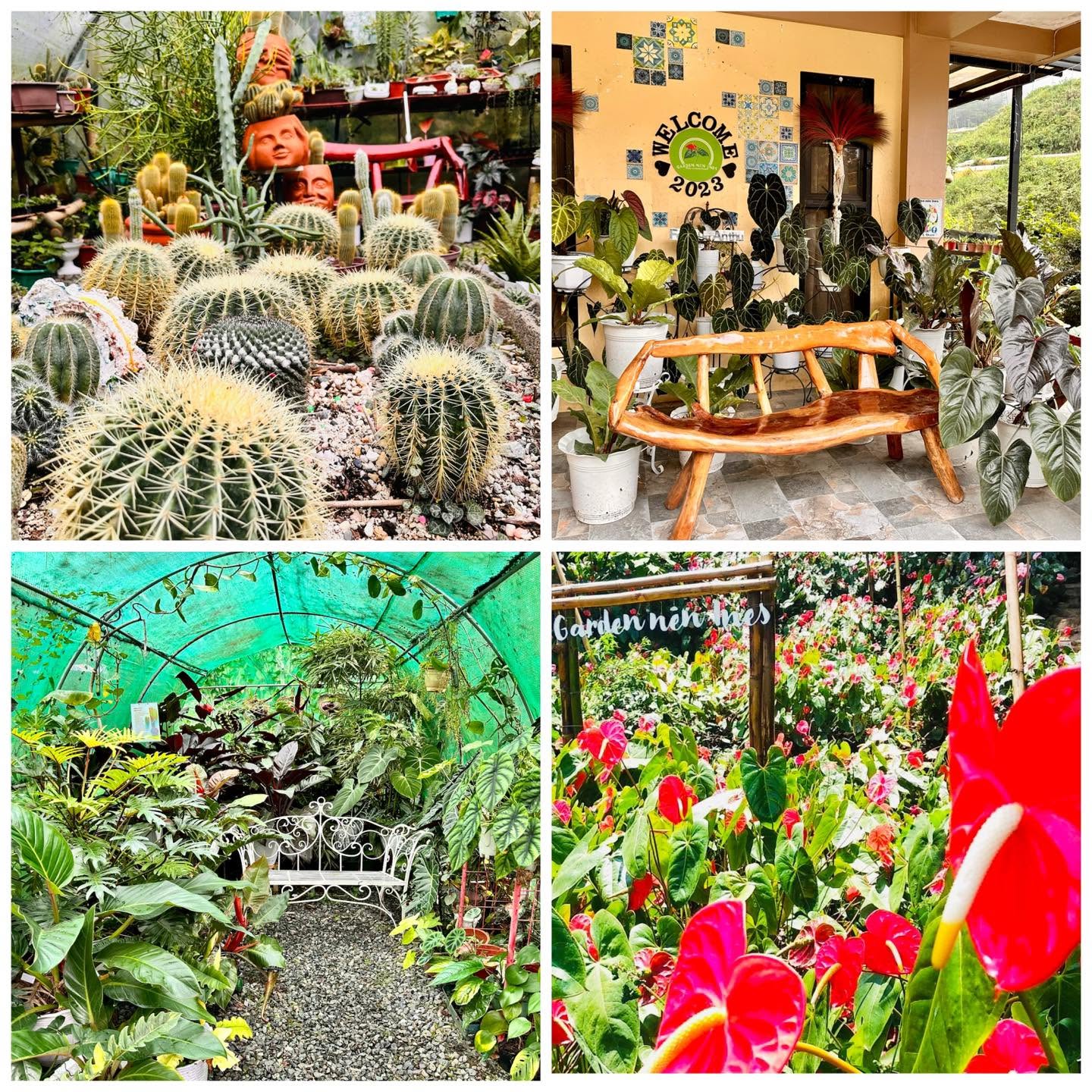 Garden nén Ines