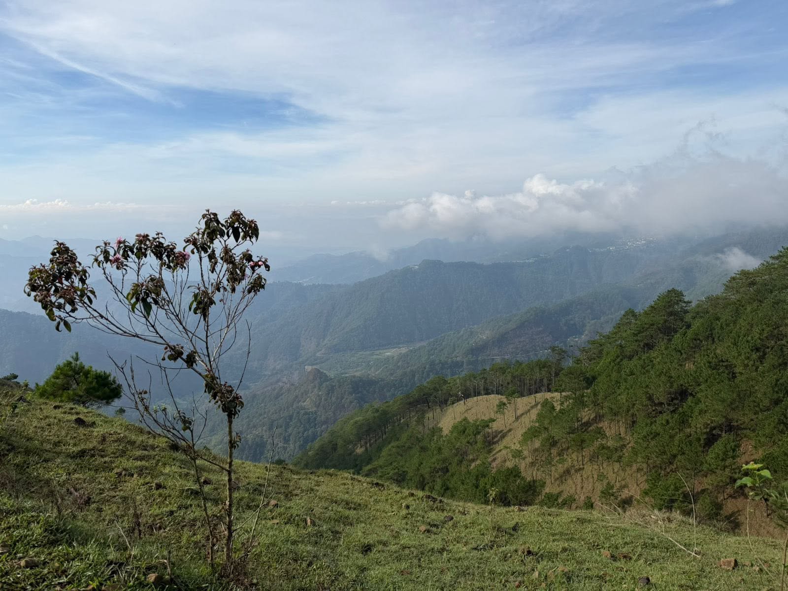 Mt. Ulap Eco-Trail