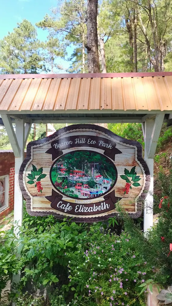 Beacon Hill Eco-Park