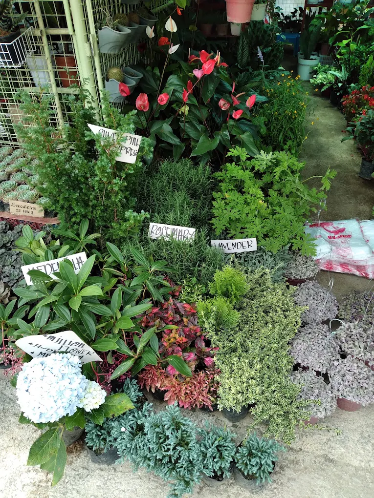 BSU Orchidarium and Ornamental