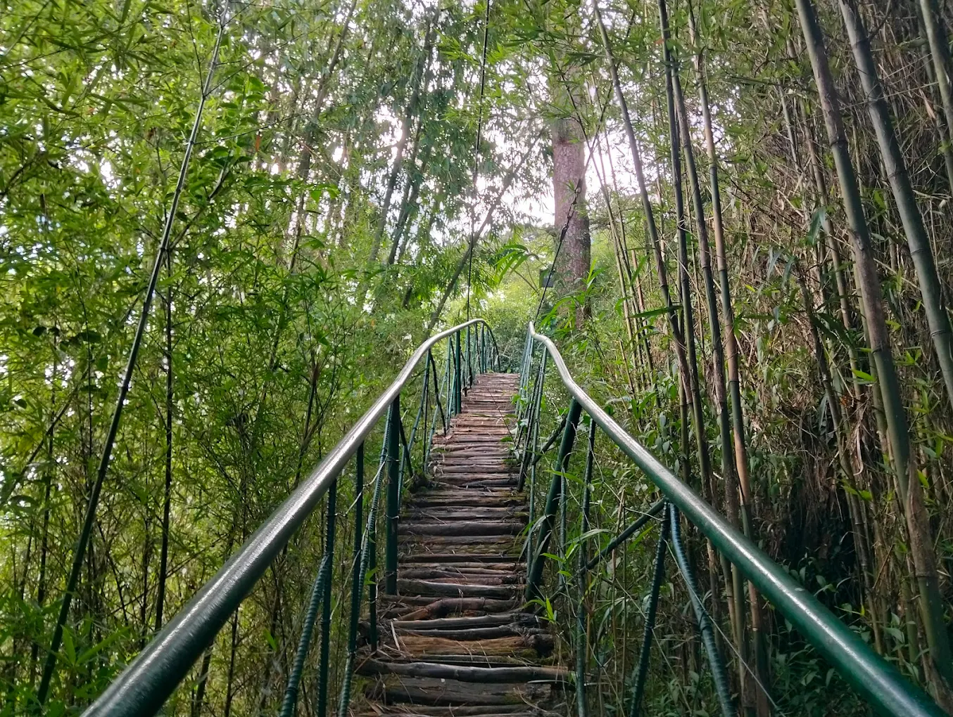 Maryknoll Ecological Sanctuary