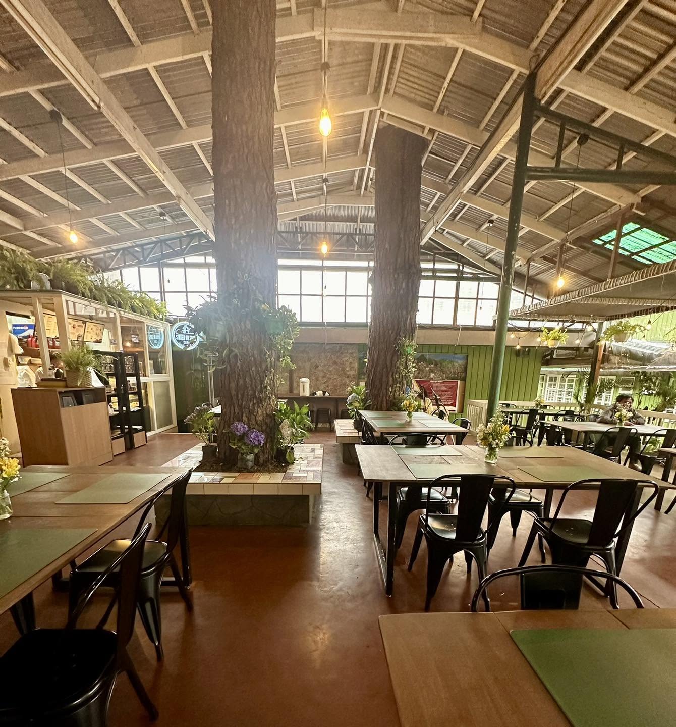 Sinner or Saint Cafe — PBTS Guisad (Baguio)