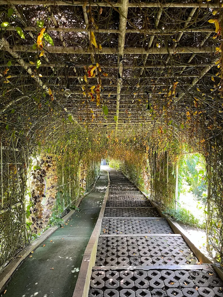 Baguio Botanical Garden