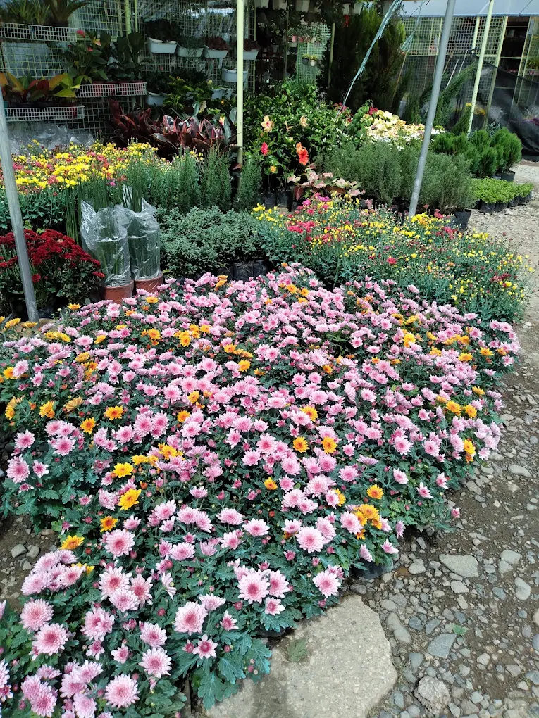 BSU Orchidarium and Ornamental