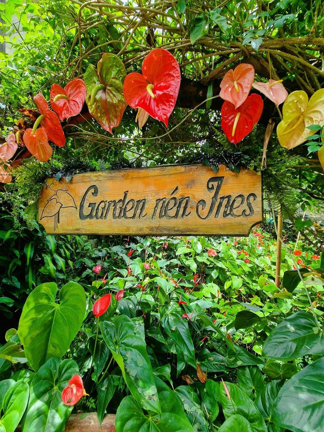 Garden nén Ines