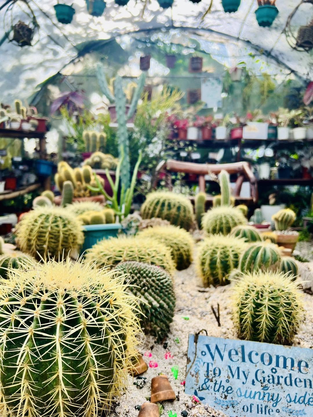 Garden nén Ines