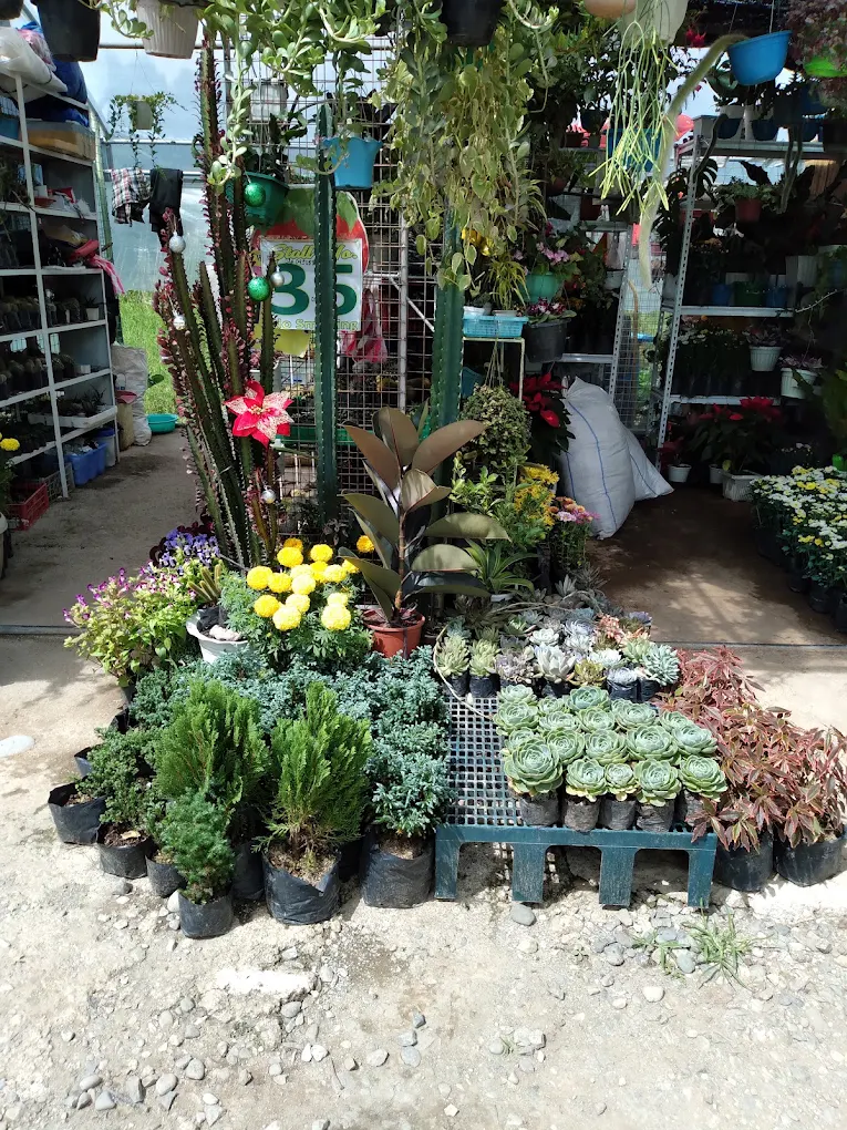 BSU Orchidarium and Ornamental