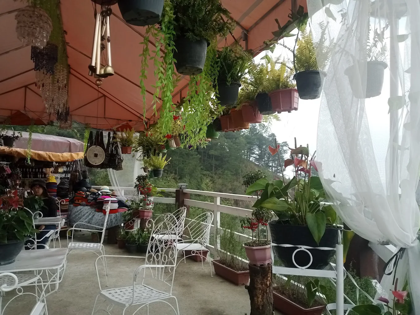 Beacon Hill Eco-Park