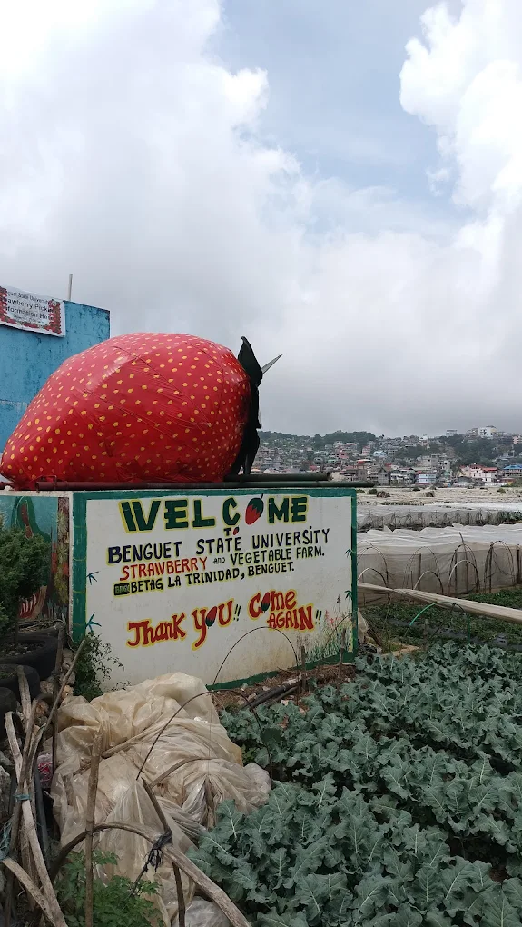 Strawberry Farm