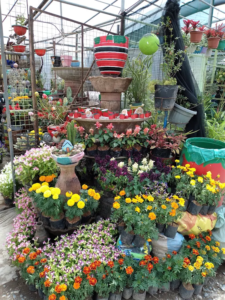 BSU Orchidarium and Ornamental