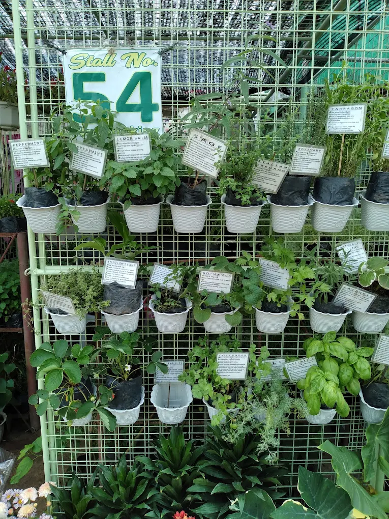 BSU Orchidarium and Ornamental