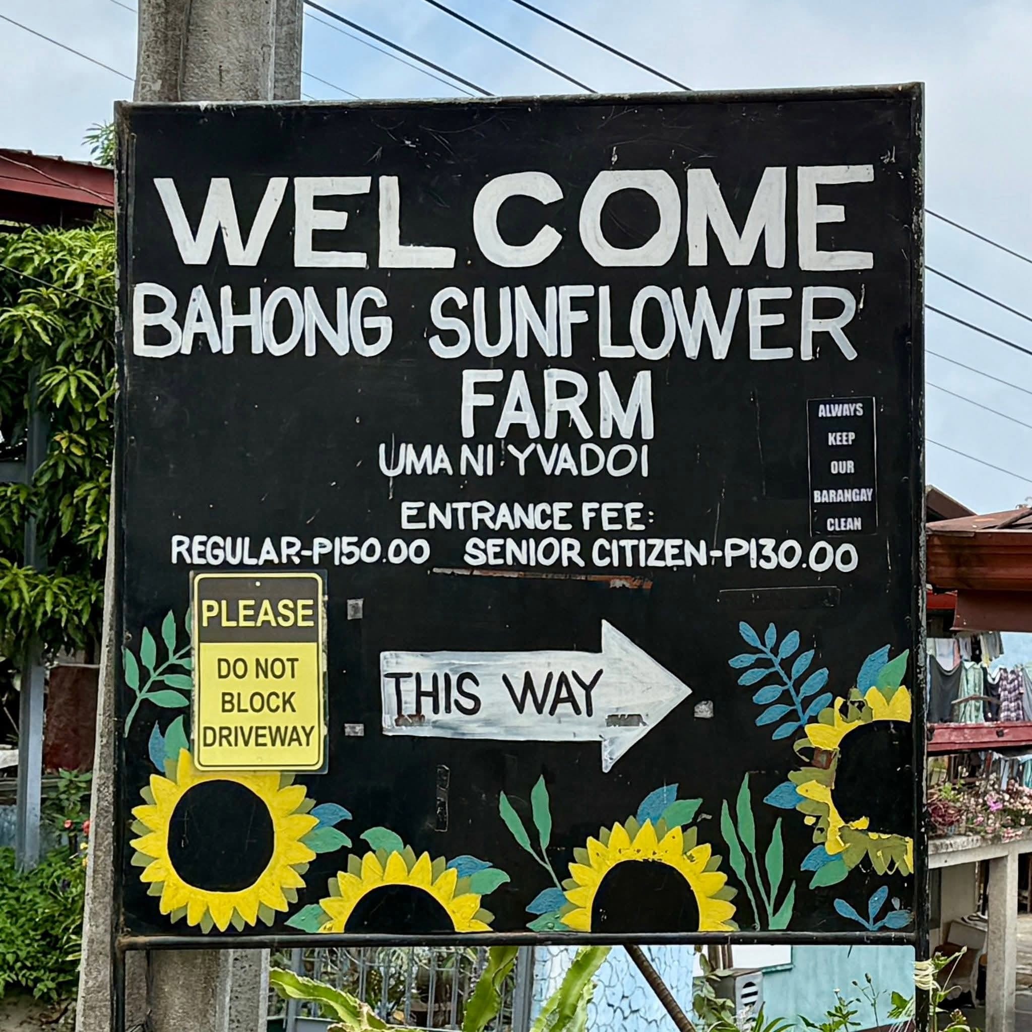 Bahong Flower Gardens (Rose & Sunflower Farms)