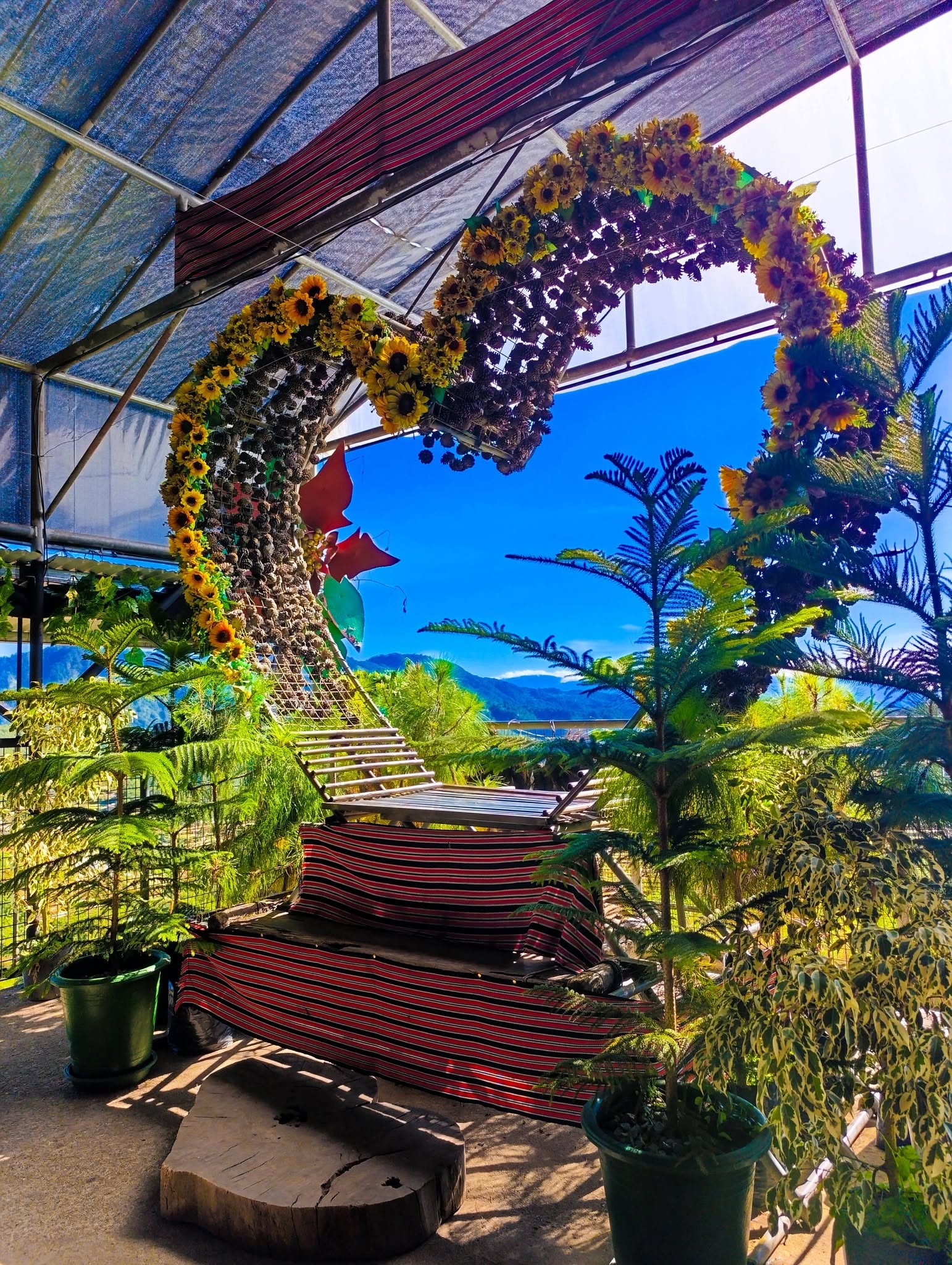 DarJane's Garden