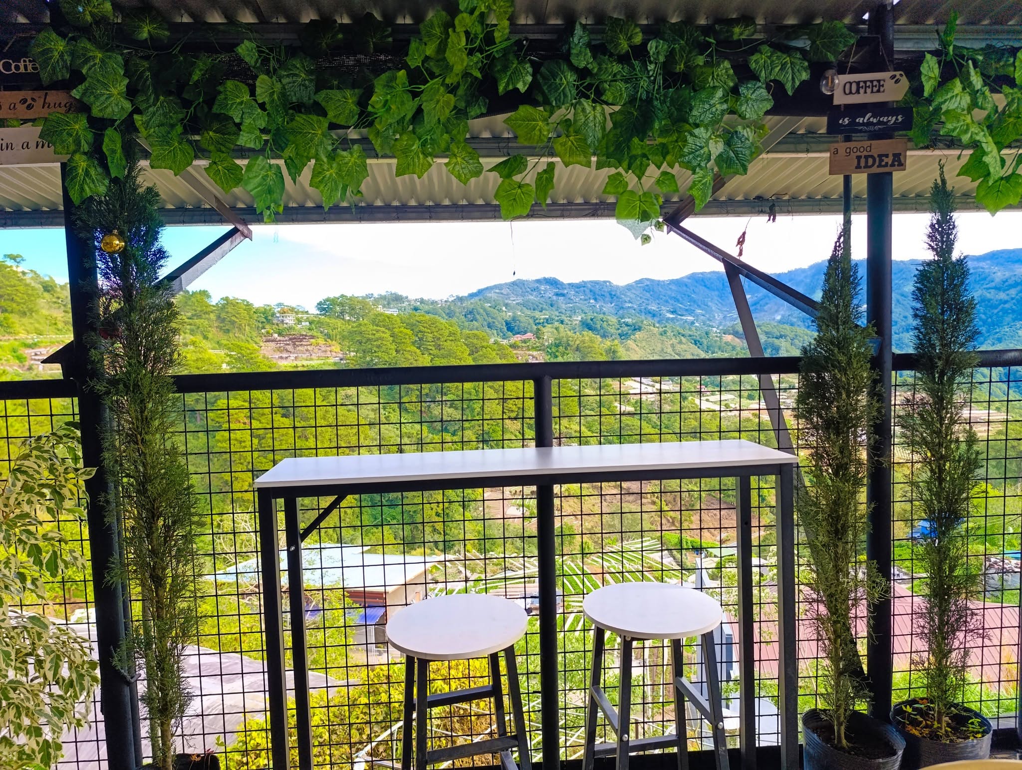 DarJane's Garden