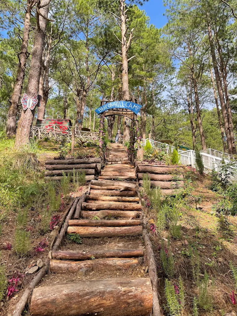 Beacon Hill Eco-Park