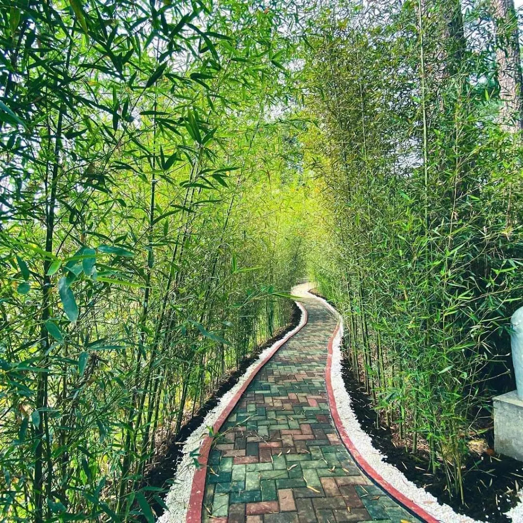 Baguio Botanical Garden