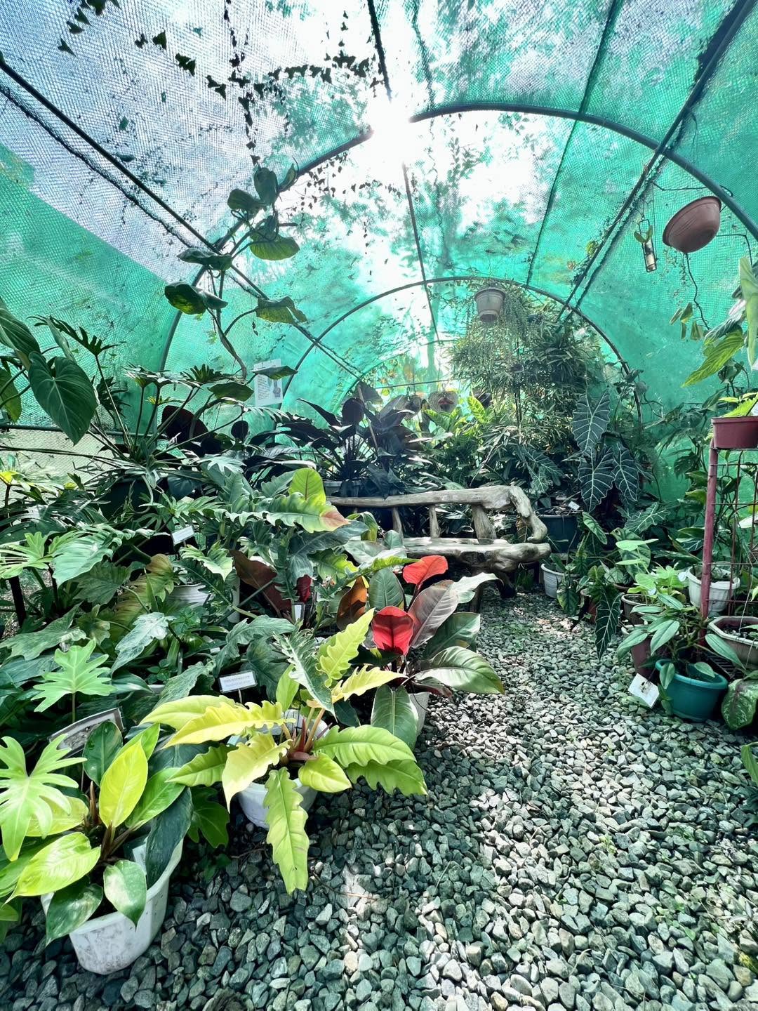 Garden nén Ines