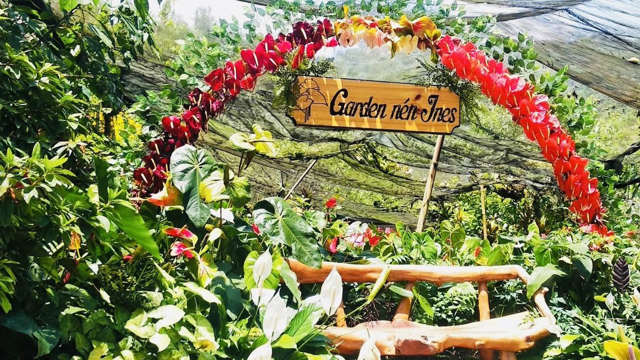 Garden nén Ines