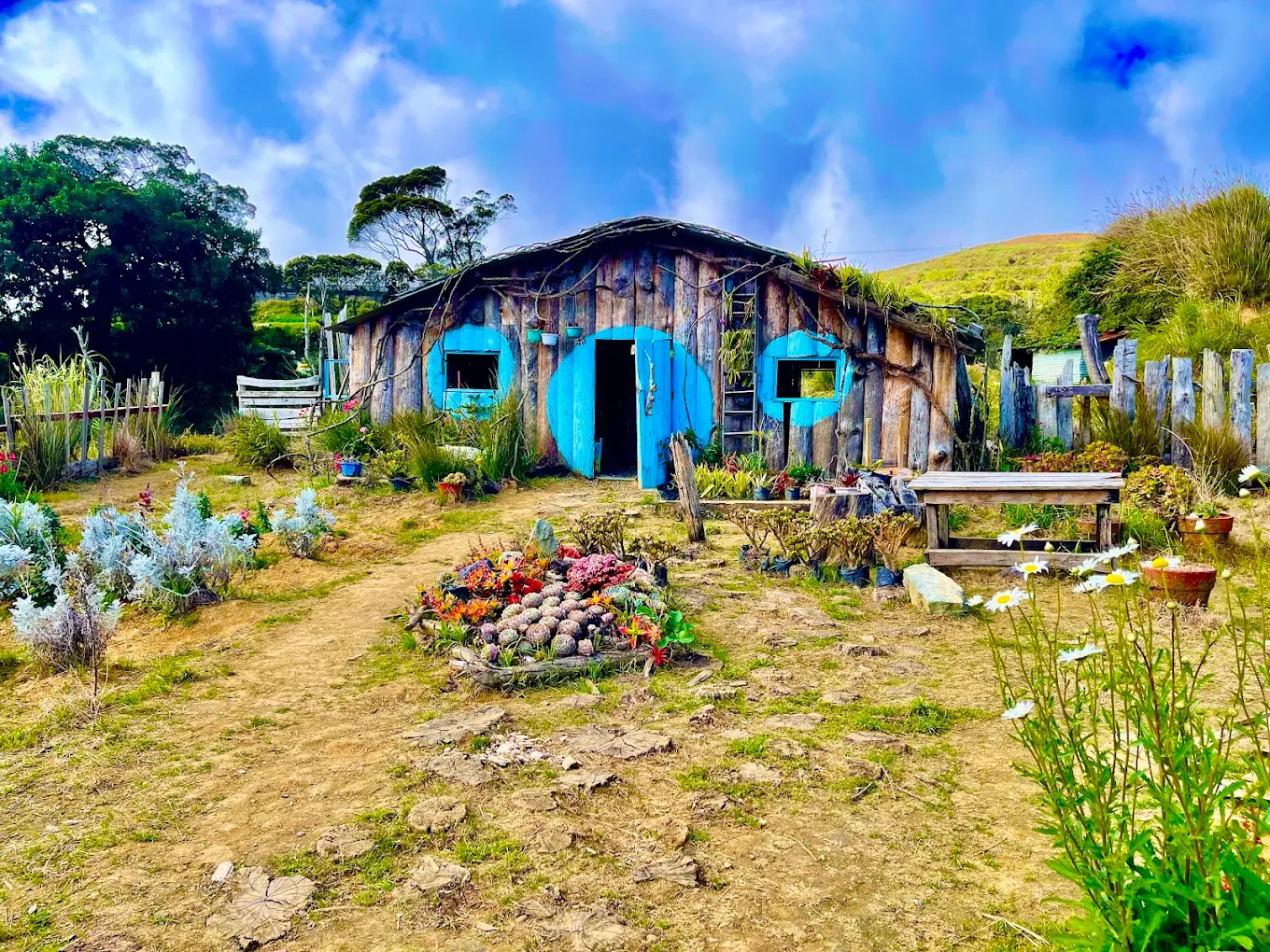 Haight's Place