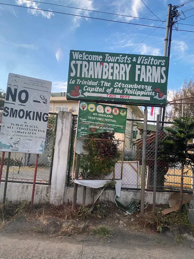 Strawberry Farm