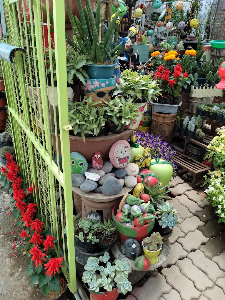BSU Orchidarium and Ornamental